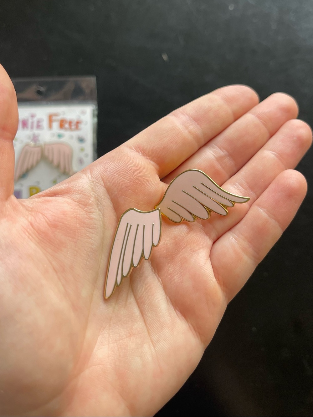 Urban Outfitters Annie Free Pin Party Angel Wings Pin